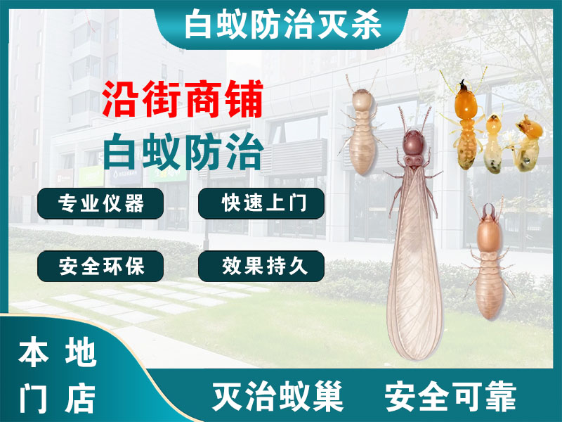 云龙沿街商铺白蚁防治