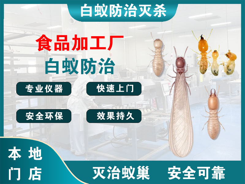 云龙食品加工厂白蚁防治