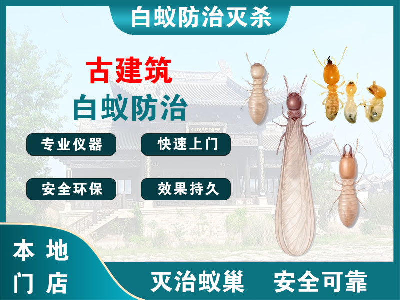 云龙古建筑白蚁防治