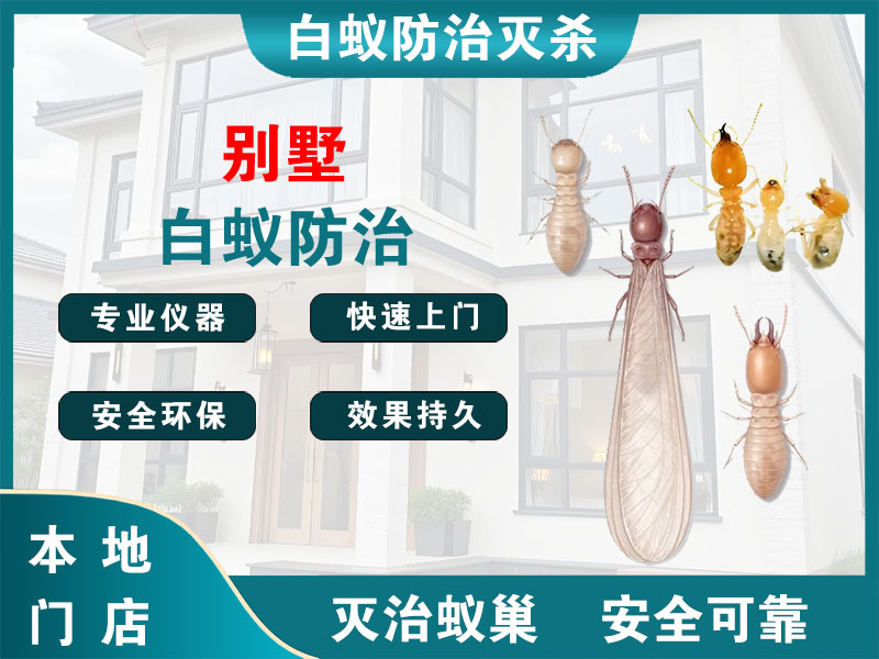 云龙别墅白蚁防治