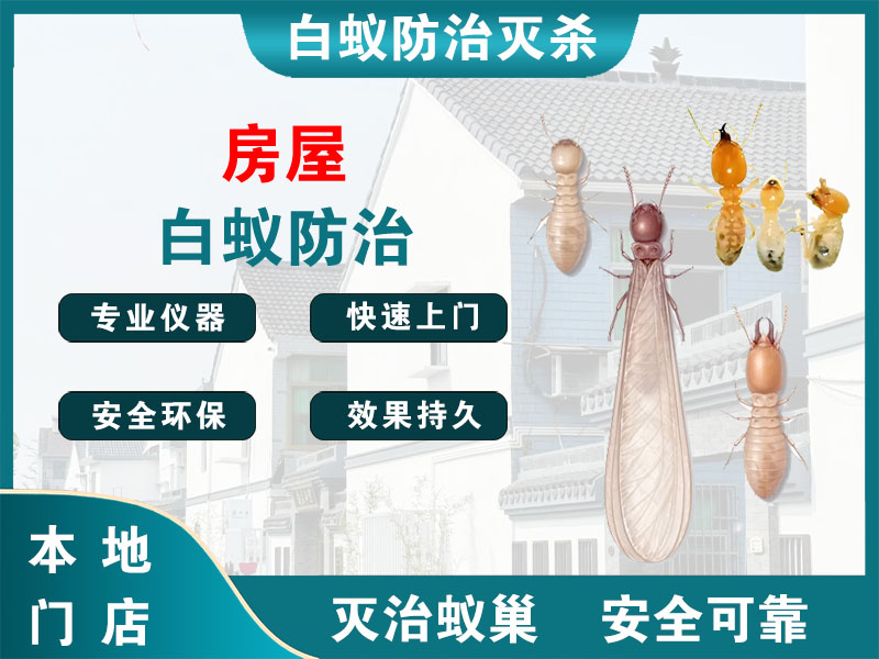 云龙房屋白蚁防治